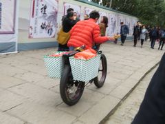 -普陀山风景名胜区-法雨禅寺