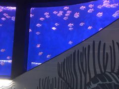 -沈阳海洋探索中心