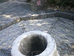 -上海佘山国家森林公园天马山园