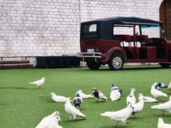 -华谊兄弟（长沙）电影小镇