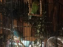 -西西里轰趴日租聚会别墅·团建拓展