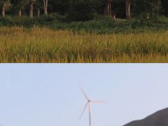 -盐洲岛