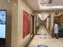 -碧莲盛·不剃发植发