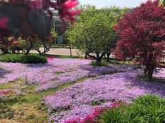 -南通洲际绿博园