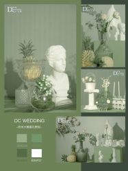 -DC大蔡婚礼策划(李公堤店)