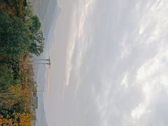 -中原农家乐(中原饭店)