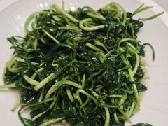 -大鸿运酒店·苏州菜·松鼠桂鱼(观前街店)