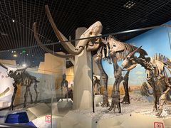 -国家自然博物馆