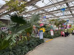 -南宫五洲植物乐园