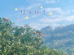 -海宁大尖山滑翔伞运动基地