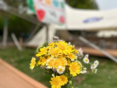 -不觉晓CAMPING(上海迪士尼营地店)