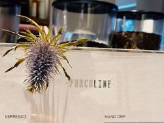 -Punchline Coffee&Roaster(同济大学店)