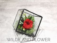 -王尔德与花