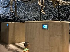 -世界恐龙谷景区