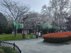-堤角公园