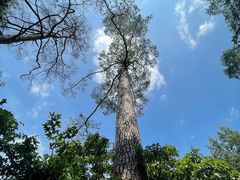 -东南悬空寺方广岩
