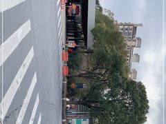 -上海市公安局交通警察总队车辆管理所三分所