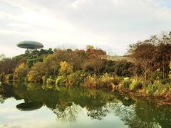 -西溪国家湿地公园