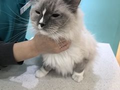 -美迦爱-牙专科·兔科·骨科诊疗中心(北苑店)