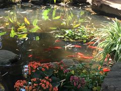 -新竹里馆·花园餐厅(兴苑路店)