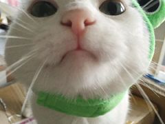 -哆来咪火锅烤肉自助(牌楼店)