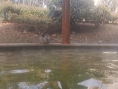 -郑州银基黄帝宫御温泉