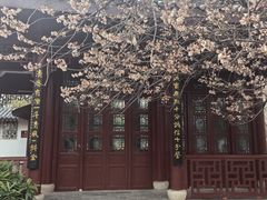 -堤角公园