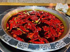 -渝大狮毛肚老火锅(普陀店)