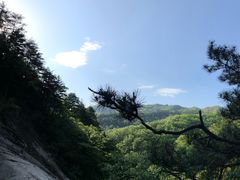 -内乡宝天曼生态旅游区