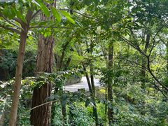 -崂山九水游览区