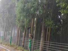 -太阳湾风景区