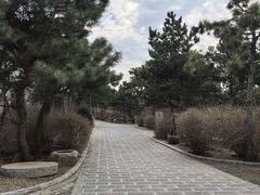 -爱新觉罗皇家博物院
