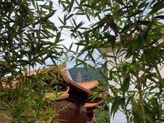 -深圳仙湖植物园
