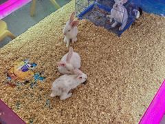 -万达广场(南京江宁店)