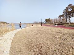 -春花秋色城市公园