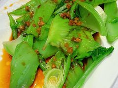 -新雅粤菜馆(南京东路店)