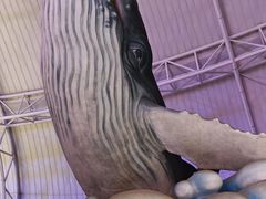 -烟台海昌鲸鲨海洋公园