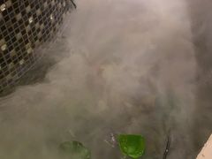 -顺意·顺德家乡菜(国际人才大厦店)