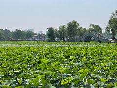 -长春市南湖公园