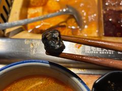 -九鼎轩脆毛肚火锅(铜山万达店)