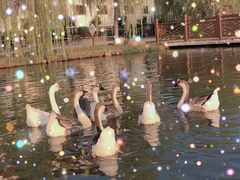-木兰水镇旅游景区