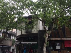 -江南春(中山中路店)