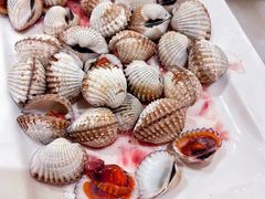 血蛤-华盛丰温州大排档(东三环南路店)