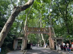 -灵谷景区