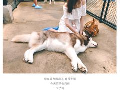 -TrueLove @ Neverland (Husky Cafe)