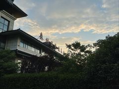 -徂徕山森林康养度假谷温泉