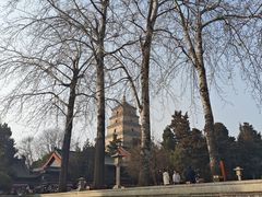 -大雁塔北广场音乐喷泉