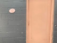 -The Pink Door