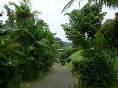 android_upload_pic-椰树岛海滩度假村