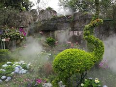 -深圳仙湖植物园-停车场